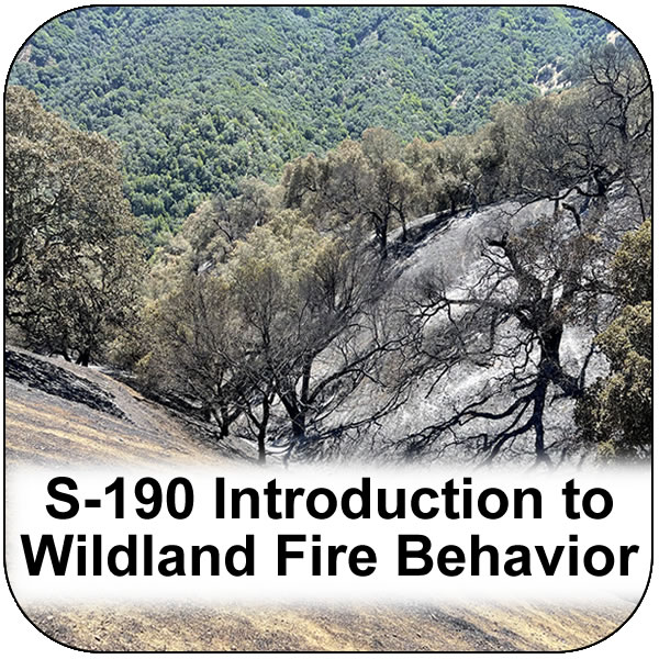 S-190 Introduction to Wildland Fire Behavior. A view looking downhill at the nearby vegetation burned by fire, and unburned green trees in the background. View course information.